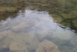 Aquaculture