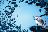 Remediation of Hydrocarbon Pollution