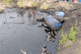 Bioremediation of Hydrocarbon polluted water & soil